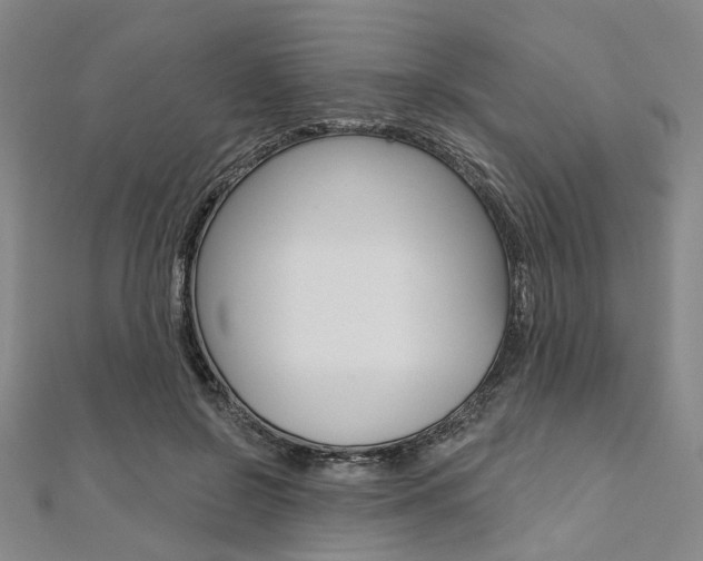 X0000112060550200908041013