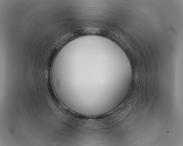X0000112060551200908041013