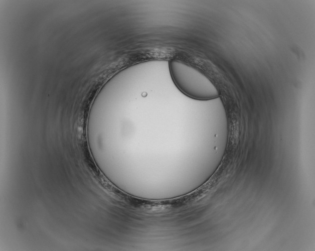X0000112060553200908041013
