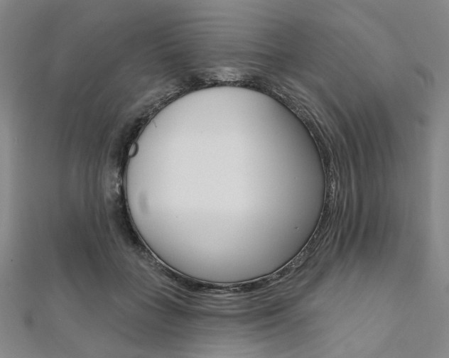 X0000112060555200908041013