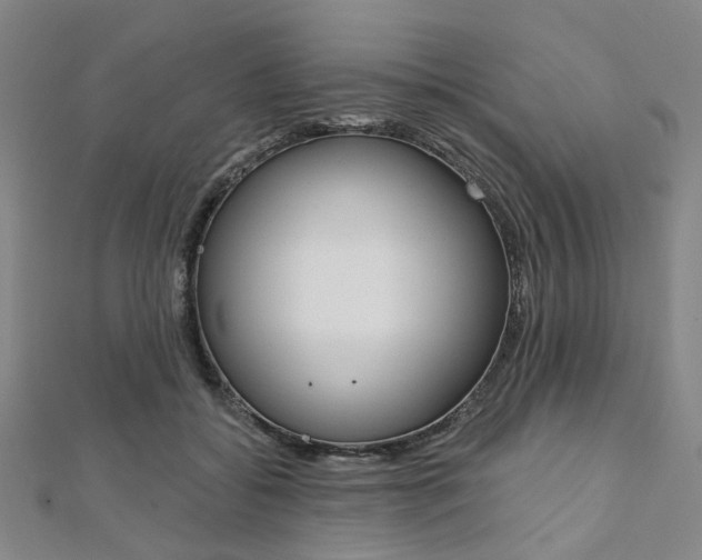 X0000112060556200908041013