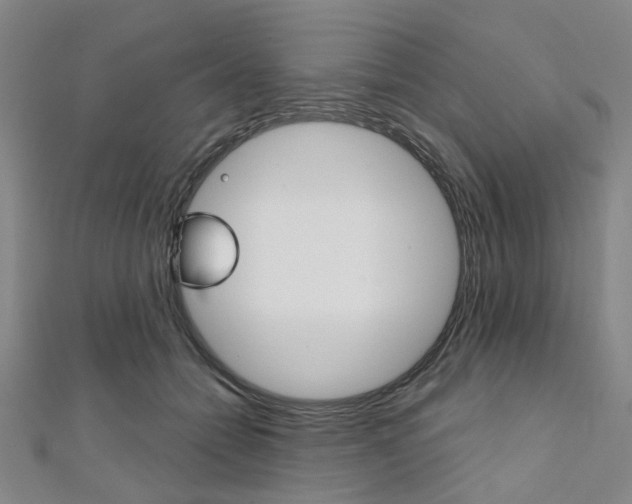 X0000112060558200908041013