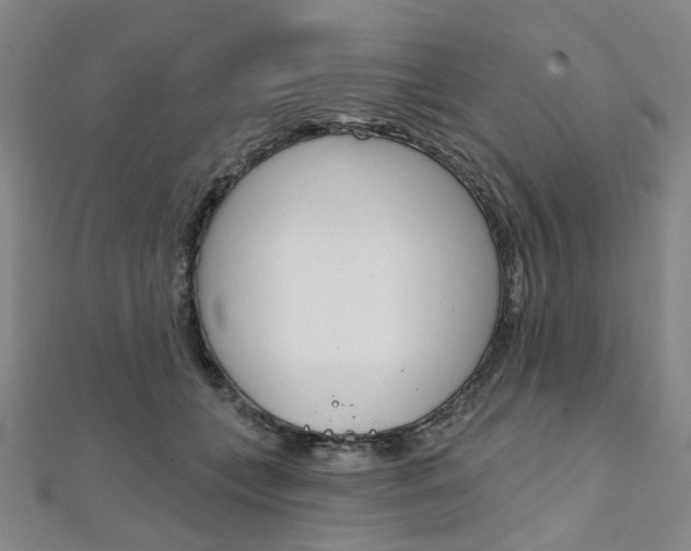 X0000112060559200908041013