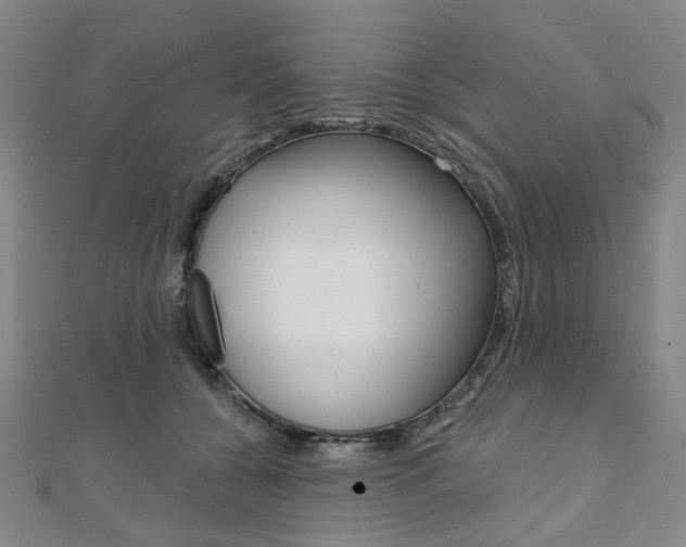 X0000112060560200908041013