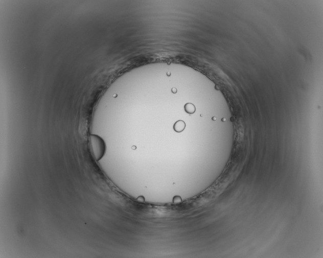 X0000112060565200908041013