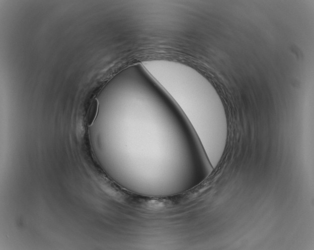 X0000112060566200908041013