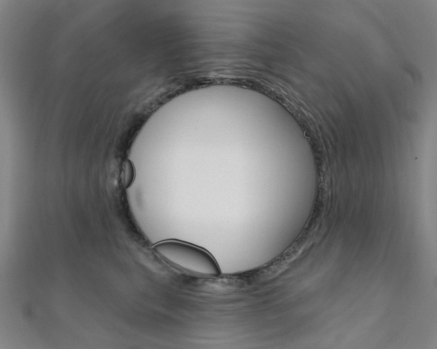 X0000112060567200908041013