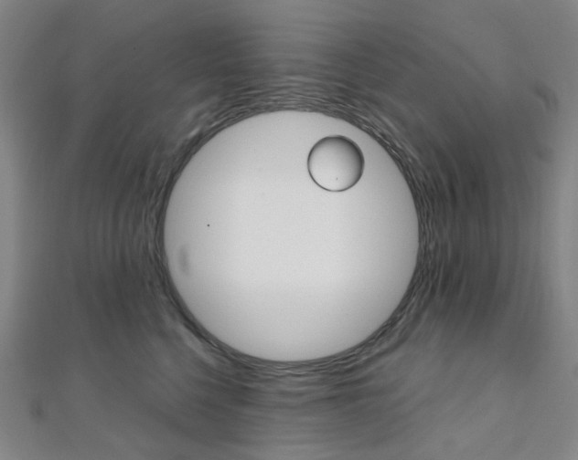 X0000112060568200908041013