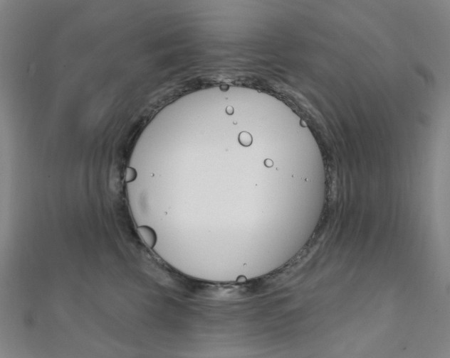 X0000112060569200908041013