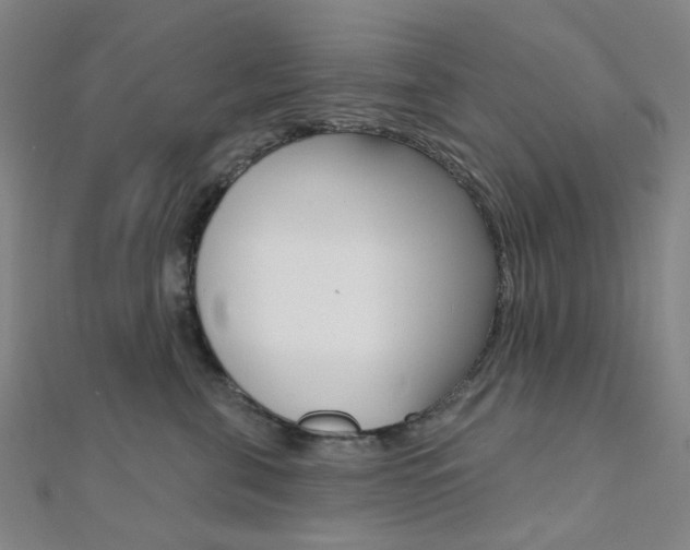 X0000112060571200908041013