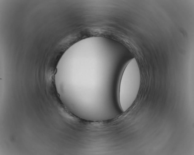 X0000112060574200908041013