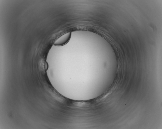 X0000112060575200908041013