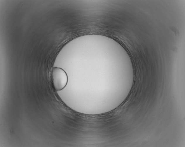 X0000112060576200908041013