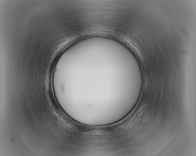 X0000112060578200908041013