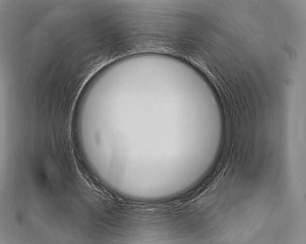 X0000112060579200908041013
