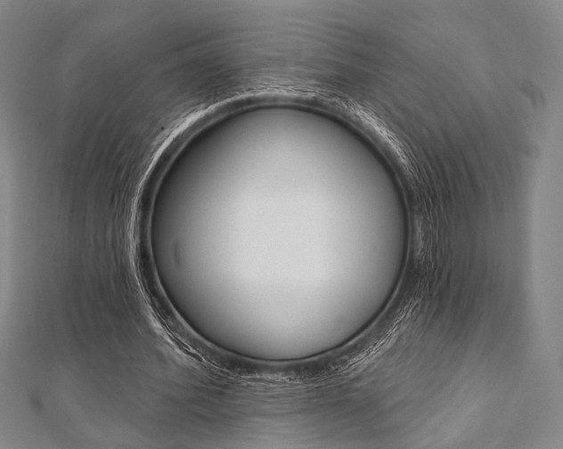 X0000112060580200908041013