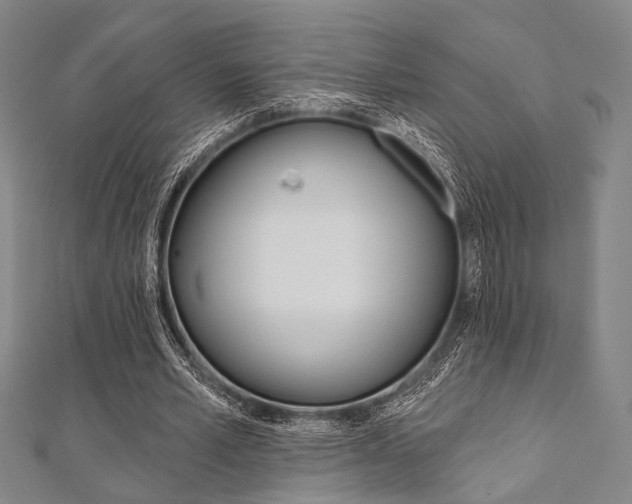 X0000112060581200908041013
