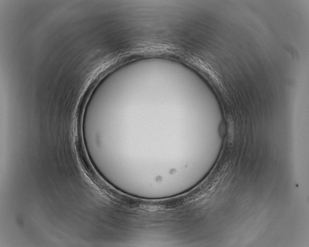 X0000112060582200908041013