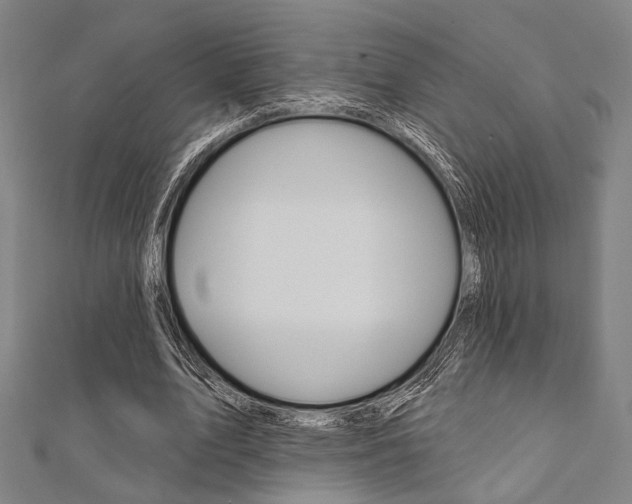 X0000112060583200908041013