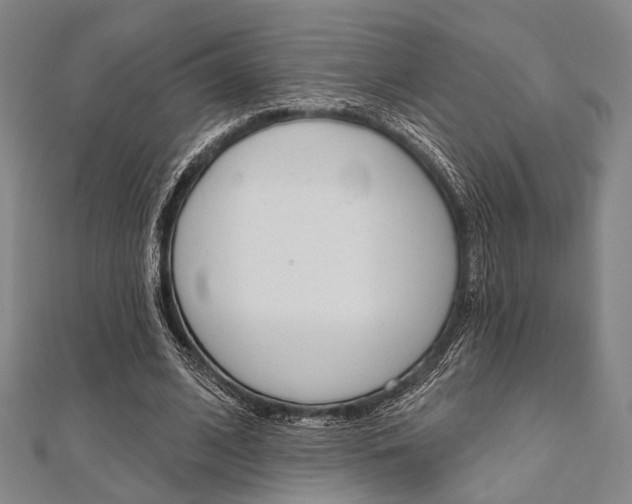 X0000112060584200908041013