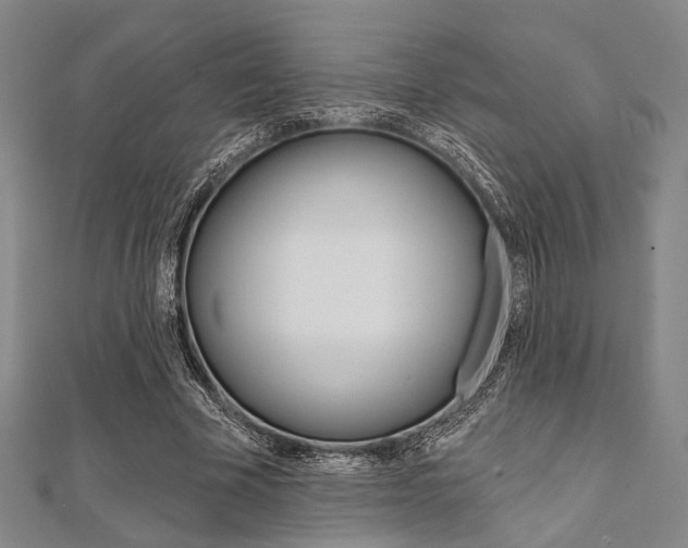 X0000112060585200908041013
