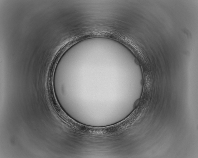 X0000112060587200908041013