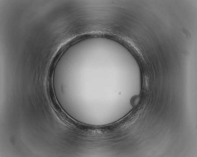 X0000112060588200908041013