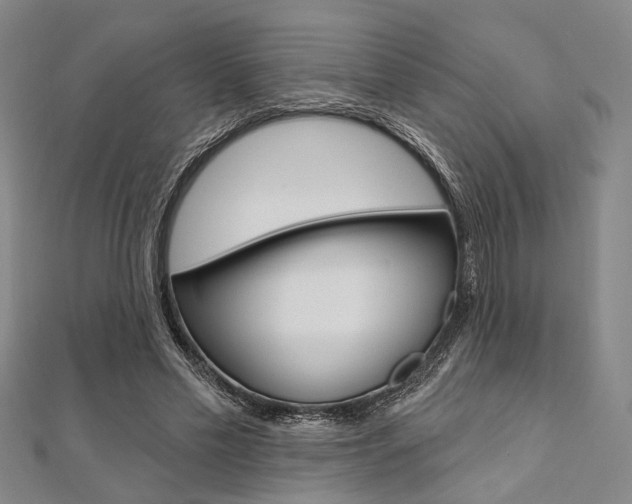 X0000112060589200908041013
