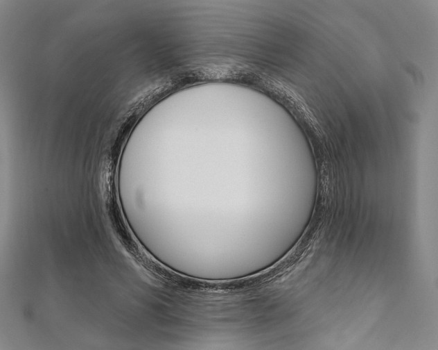 X0000112060590200908041013