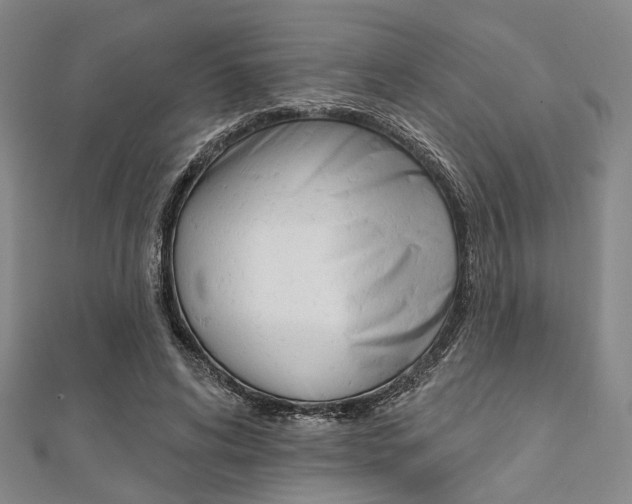X0000112060592200908041013