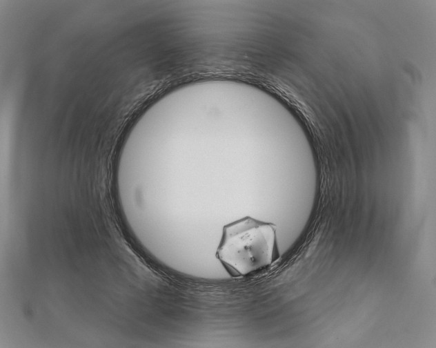X0000112060593200908041012