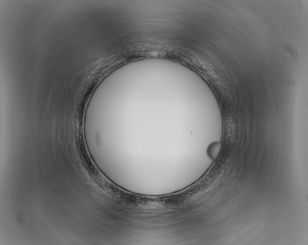 X0000112060594200908041012