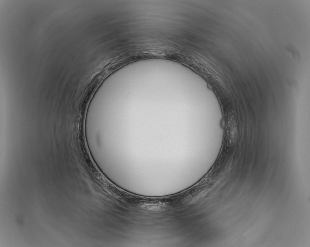X0000112060595200908041012