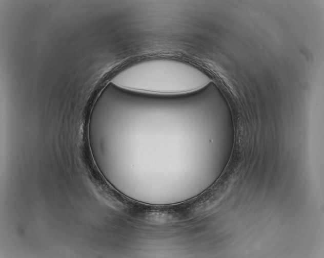 X0000112060596200908041012