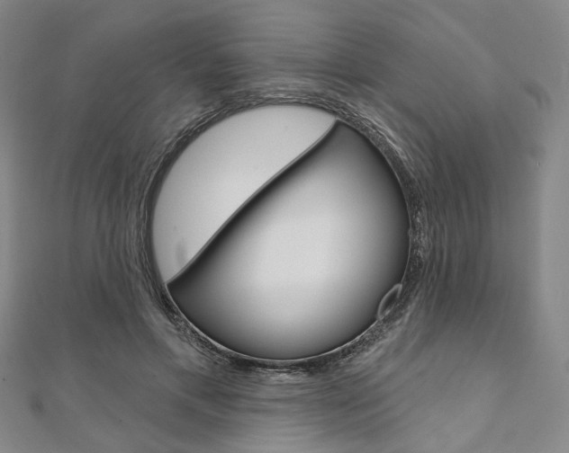 X0000112060597200908041012