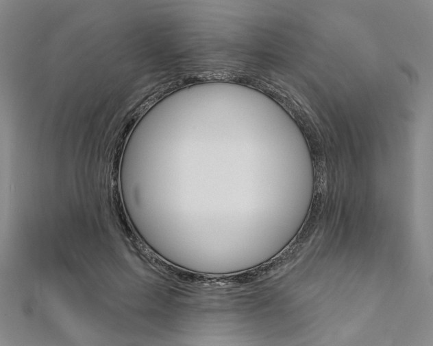 X0000112060599200908041012