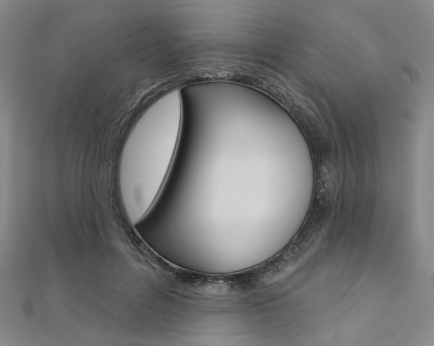 X0000112060600200908041012