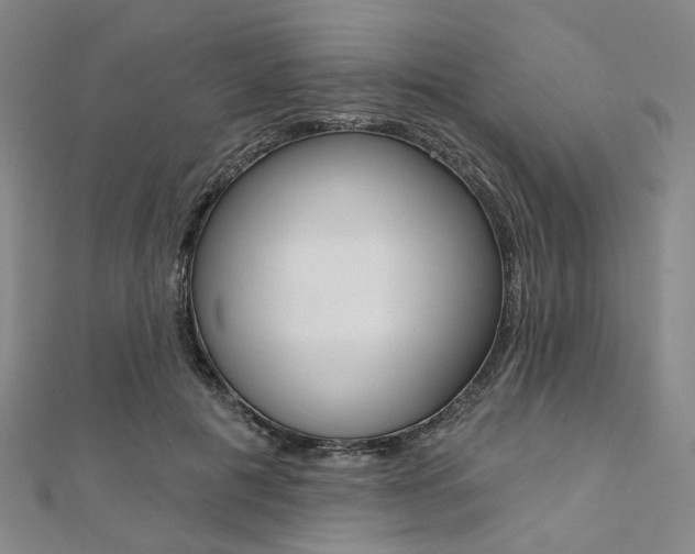 X0000112060601200908041012