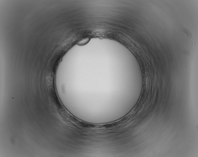 X0000112060603200908041012