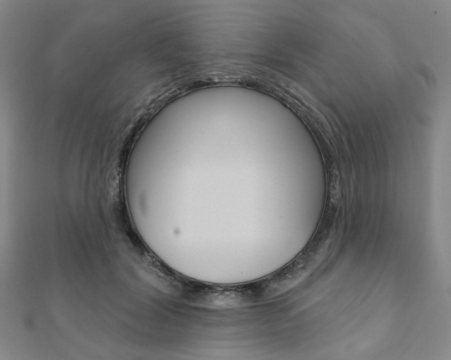 X0000112060604200908041012