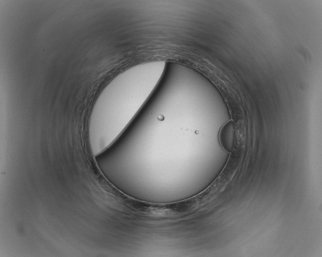 X0000112060605200908041012