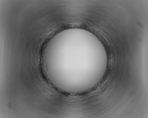 X0000112060608200908041012