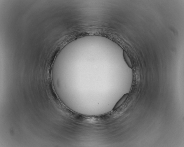 X0000112060611200908041012
