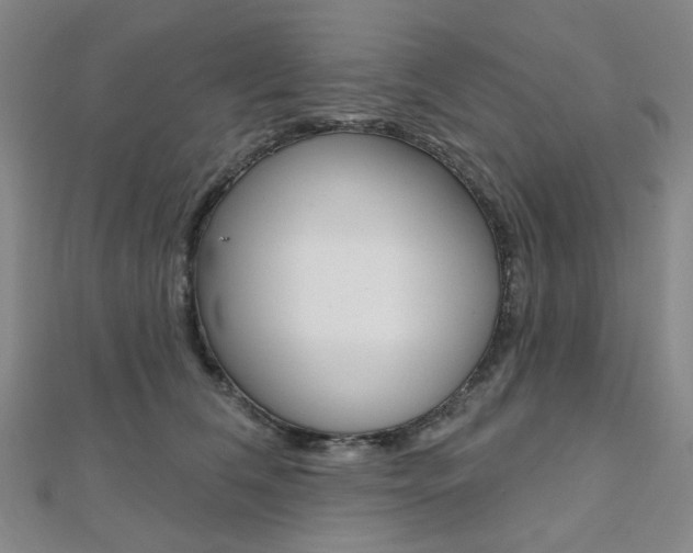 X0000112060612200908041012