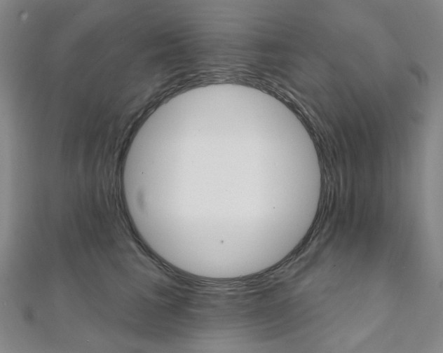 X0000112060613200908041012