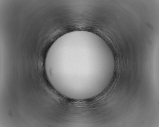 X0000112060615200908041012