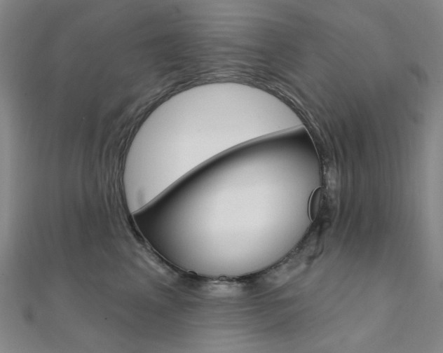 X0000112060617200908041012
