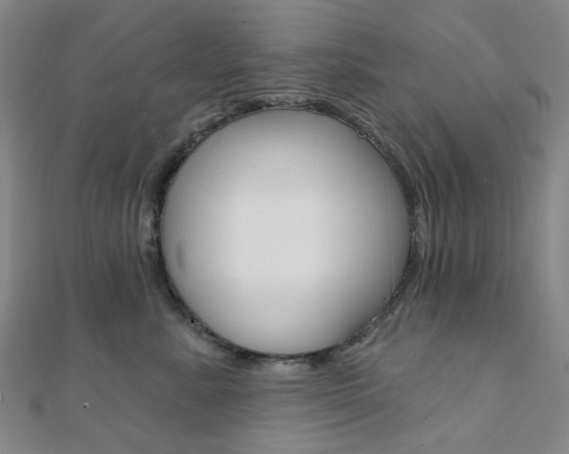 X0000112060619200908041012