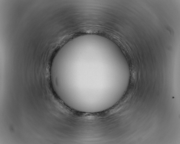 X0000112060620200908041012