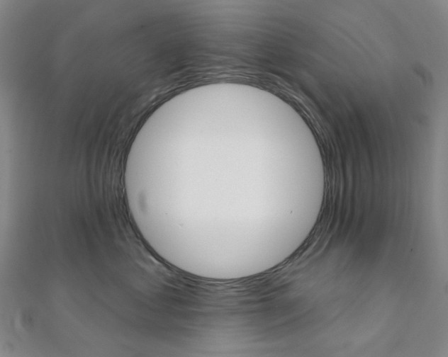 X0000112060621200908041012